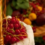 plant-vintage-fruit-berry-flower-meal-1019522-pxhere.com